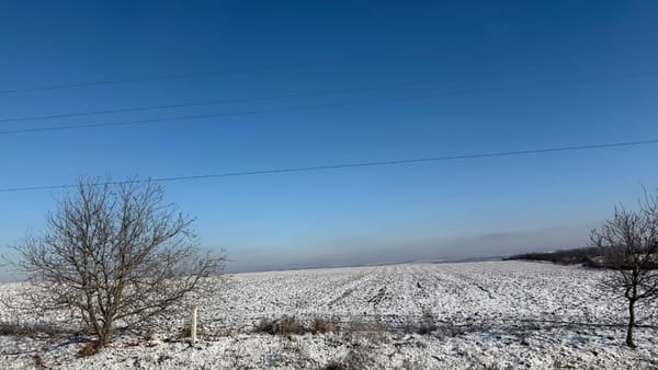 Zăpada și înghețurile de iarnă, un sprijin pentru agricultură: rezerve mai mari de apă în sol și mai puțini dăunători