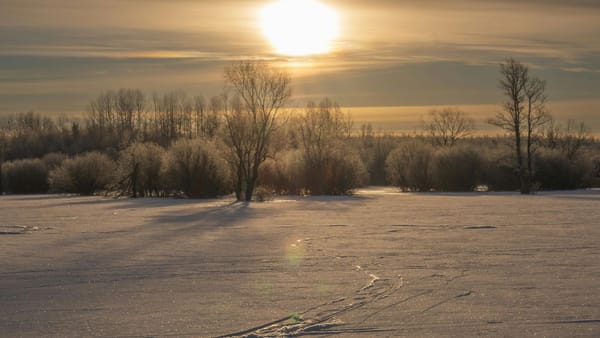 Ger simțitor în toată țara! Prognoza meteo pentru astăzi, 10 februarie