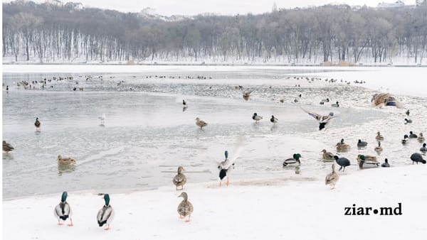 Câte grade vor fi astăzi? Prognoza meteo pentru 11 februarie