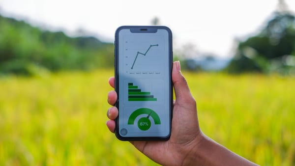 Exportatorii agroalimentari din R. Moldova pot folosi un nou instrument digital pentru accesul pe piața Uniunii Europene