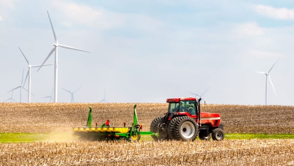 Piața cerealelor din R. Moldova, sub lupă: importuri, provocări climatice și strategii pentru viitor