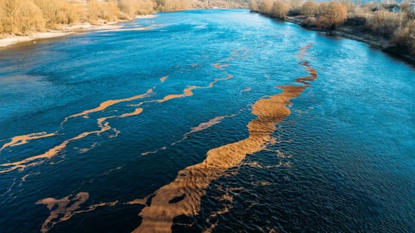 Proces penal după poluarea râului Nistru: Procuratura Generală investighează cazul