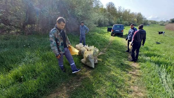 Sondaj: Șapte din zece moldoveni se arată preocupați de mediu și deschiși pentru soluții ecologice ieftine