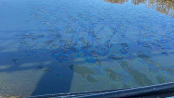 VIDEO/ Pată suspectă de ulei observată pe râul Nistru, în zona Naslavcea-Otaci. Cum comentează autoritățile