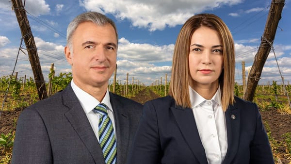 Chișinăul respinge existența unui embargo pentru vinurile moldovenești în Ucraina: „Căutăm soluții pentru a debloca situația”