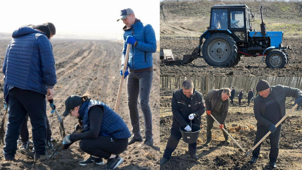 Campania de împădurire „Primăvara 2026”, lansată pe ambele maluri ale Prutului - câte hectare de pădure vor fi plantate