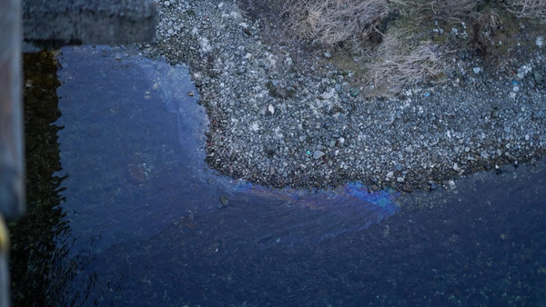 FOTO/ Ce măsuri au întreprins astăzi autoritățile pentru protejarea apei din Nistru