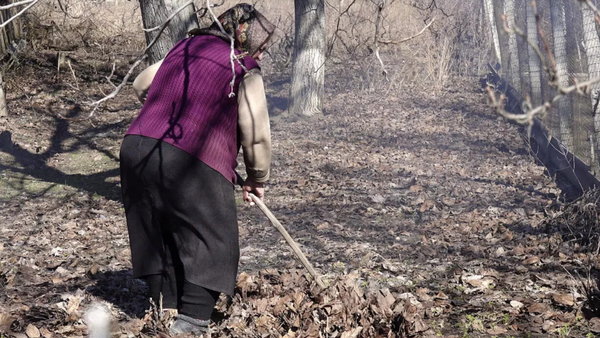 VIDEO/ „O zi de primăvară hrănește un an” - Gospodarii din nordul țării încep lucrările de primăvară