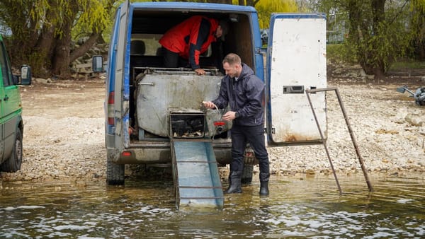 FOTO/ Râul Prut a început să fie populat cu 2,5 tone de pește. O intervenție similară va avea loc în Nistru