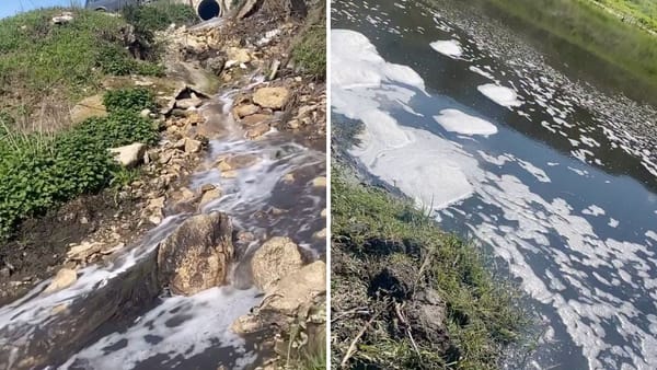 VIDEO/ Scurgeri suspecte în râul Răut, la Pohorniceni. Inspectorii de mediu verifică o posibilă poluare