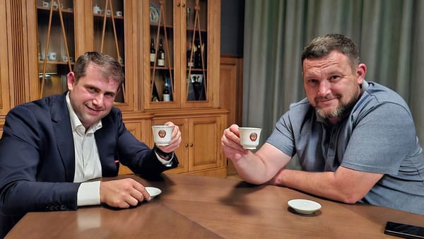 Gabriel Călin, condamnat la cinci ani de închisoare cu suspendare pentru finanțarea ilegală a partidului cu bani din Rusia