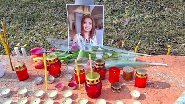 Cazul Ludmilei Vartic ajunge în Parlament. Se anunță audieri cu ușile închise. Grosu: „O lecție dură pentru noi...”