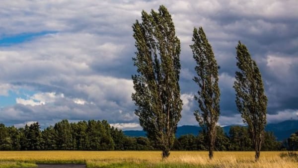 R. Moldova, sub cod galben de intensificări ale vântului. Avertismentul este valabil până la finele zilei de 29 mai