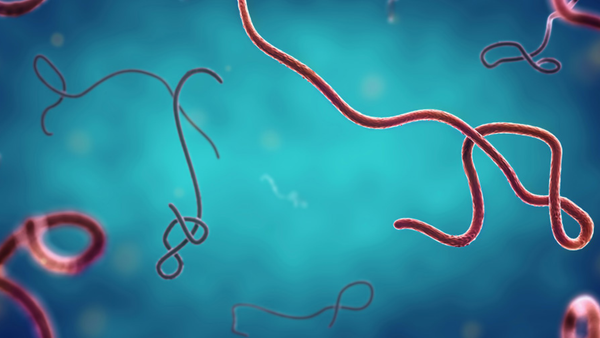 OMS declară urgență internațională din cauza focarului de Ebola din Congo și Uganda