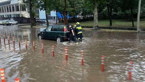 Ploile de joi au mobilizat salvatorii: copaci doborâți, inundații și mașini blocate