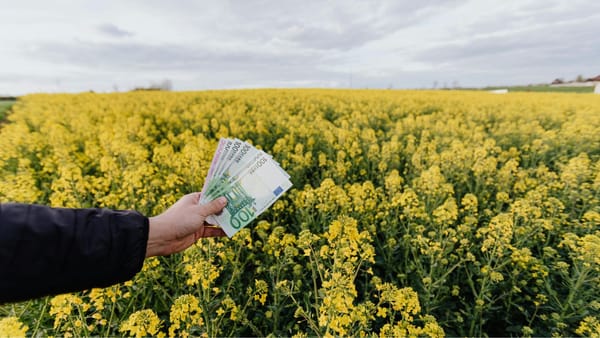 Moneda europeană continuă să se aprecieze în raport cu leul moldovenesc