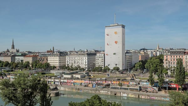 O lucrare inspirată de sarmalele moldovenești îmbracă o clădire din centrul Vienei. Instalația este semnată de Pavel Brăila