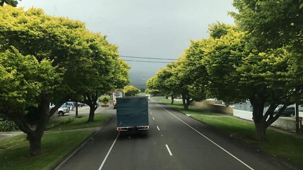 ANTA avertizează transportatorii - amenzi de 800 de euro: Olanda introduce de la 1 iulie un sistem de taxare pentru camioane