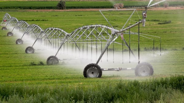 60 de milioane de euro pentru irigații în R. Moldova: productivitatea agricolă ar putea crește cu 50%