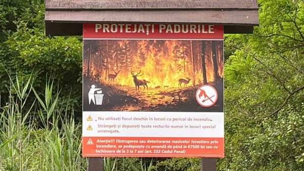 FOTO/ Moldsilva întreprinde măsuri pentru prevenirea incendiilor de pădure