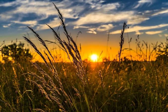 Temperaturi de primăvară în luna iulie. Cum va fi vremea astăzi