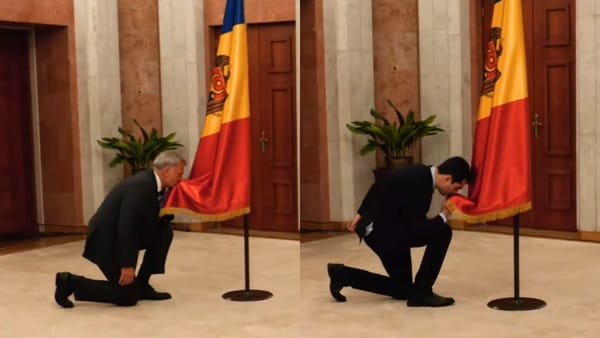 Un ministru nou și o schimbare de portofoliu în Guvernul Tofan. Osmochescu și Năsui au depus jurământul