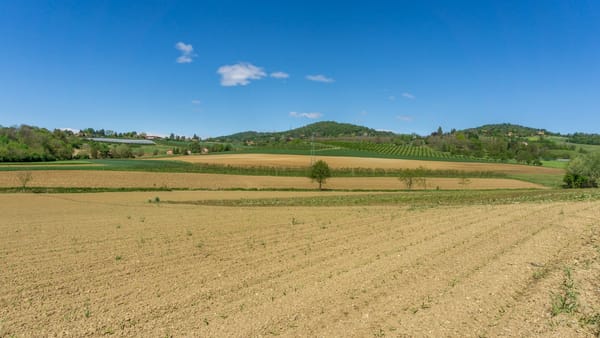Statul scoate la arendă circa 20 de terenuri agricole pentru cinci ani. Înscrierile sunt deschise până pe 21 septembrie
