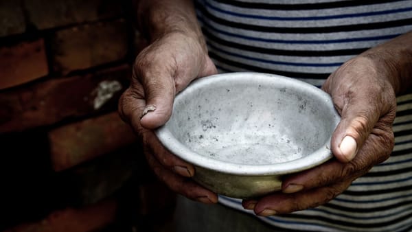 O treime din populația lumii nu își permite o alimentație sănătoasă. FAO: soluțiile există, dar nu ajung la fermieri