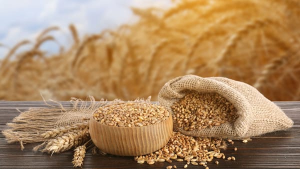 Fermierii cer prelungirea licențierii importurilor de cereale până la sfârșitul anului - ce riscuri reclama agricultorii