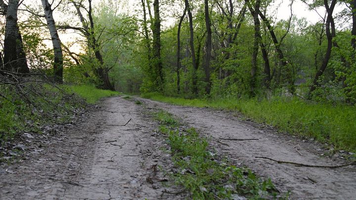 R. Moldova va împrumuta 40 de milioane de euro pentru modernizarea domeniului forestier