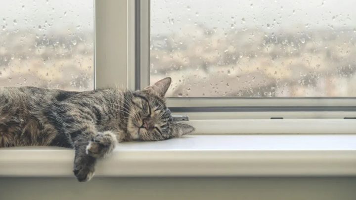 Meteorologii prognozează pentru astăzi ploi și temperaturi maxime de până la 15 grade Celsius