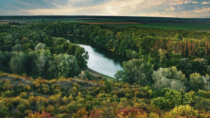 R. Moldova marchează Ziua Internațională a Pădurilor. Toți angajații ramurii silvice  plantează puieți
