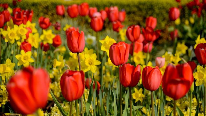 Vânt rece, cer variabil și maxime de +20 de grade Celsius. Prognoza meteo pentru 15 aprilie