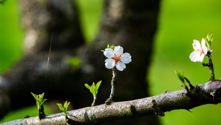 Vreme frumoasă și temperaturi maxime de până la +23 de grade Celsius. Prognoza meteo pentru 17 aprilie