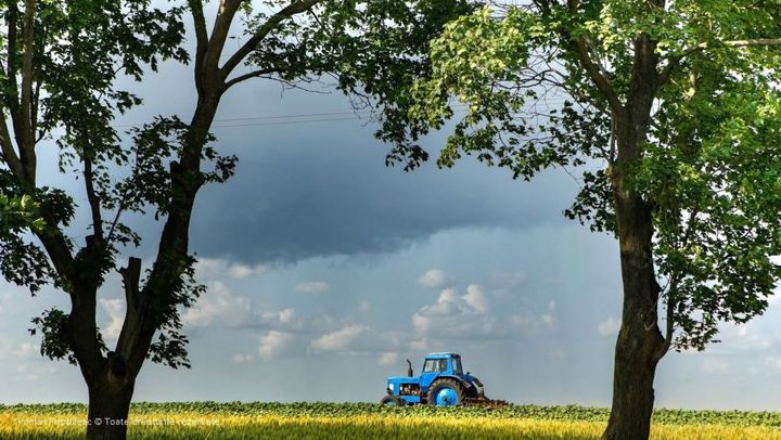 Canicula pune stăpânire pe R. Moldova. Meteorologii anunță cod galben în toată țara