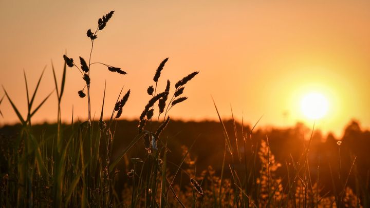 Vreme toridă în toată țara. Termometrele vor indica astăzi până la 35°C